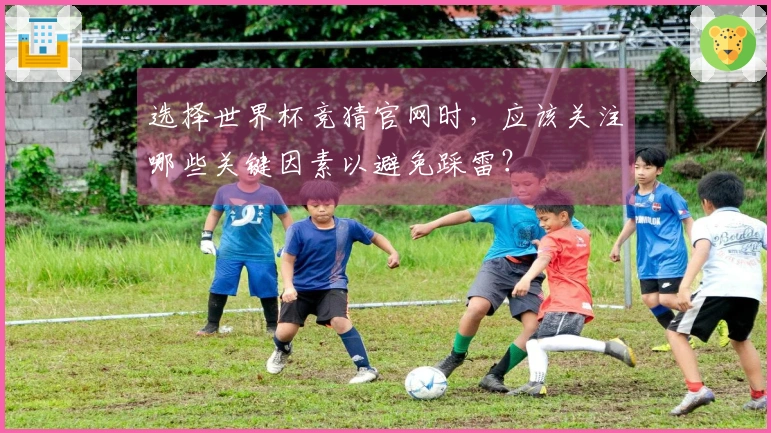 选择世界杯竞猜官网时，应该关注哪些关键因素以避免踩雷？