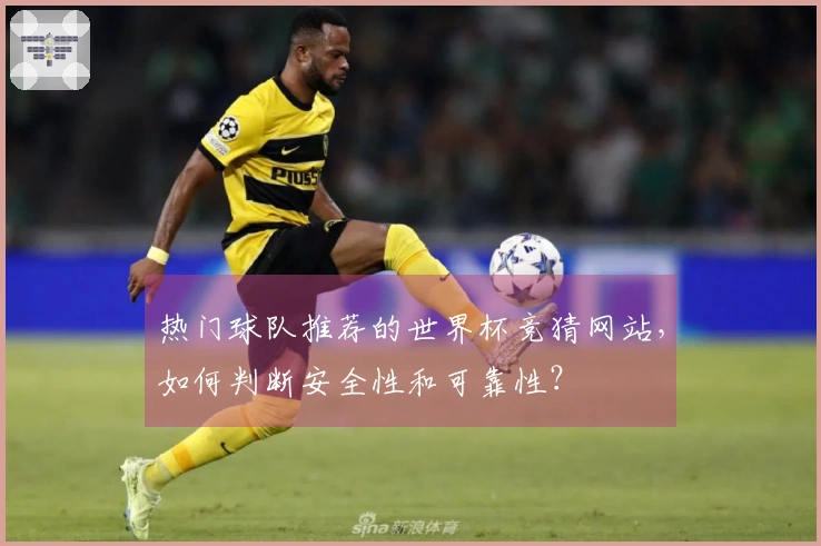 热门球队推荐的世界杯竞猜网站，如何判断安全性和可靠性？