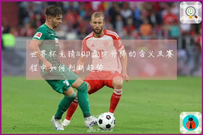 世界杯竞猜app盘口升降的含义及赛程中如何判断趋势