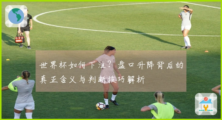 世界杯如何下注？盘口升降背后的真正含义与判断技巧解析