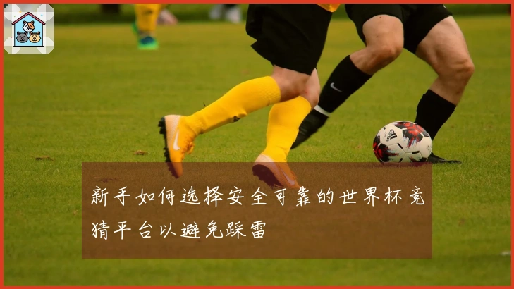 新手如何选择安全可靠的世界杯竞猜平台以避免踩雷