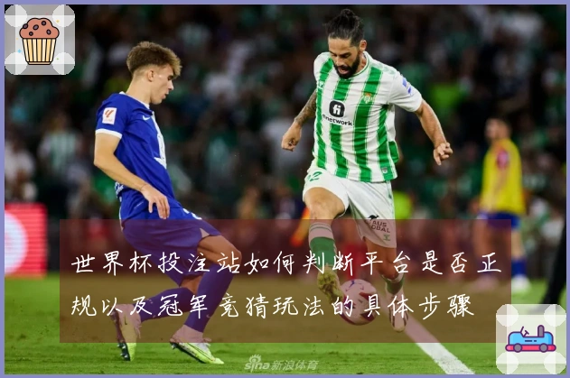 世界杯投注站如何判断平台是否正规以及冠军竞猜玩法的具体步骤