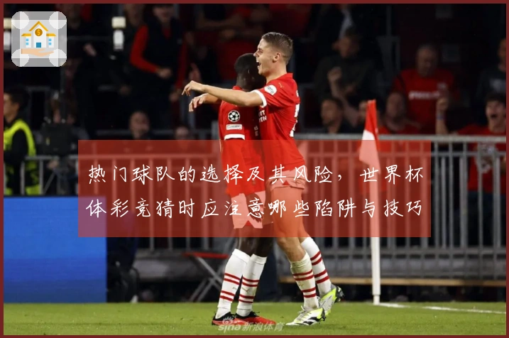 热门球队的选择及其风险，世界杯体彩竞猜时应注意哪些陷阱与技巧