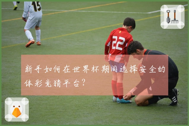 新手如何在世界杯期间选择安全的体彩竞猜平台？
