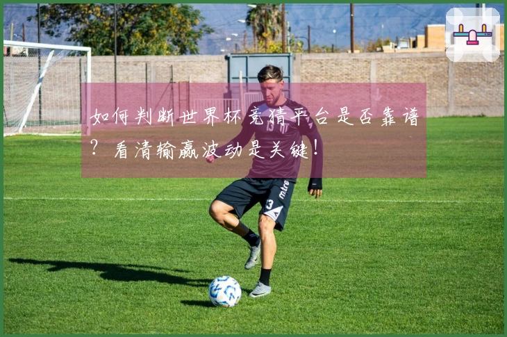 如何判断世界杯竞猜平台是否靠谱？看清输赢波动是关键！