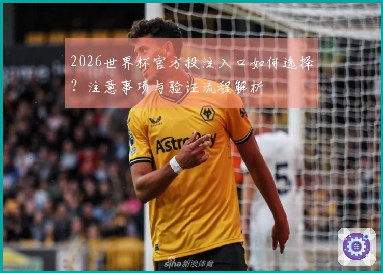 2026世界杯官方投注入口如何选择？注意事项与验证流程解析