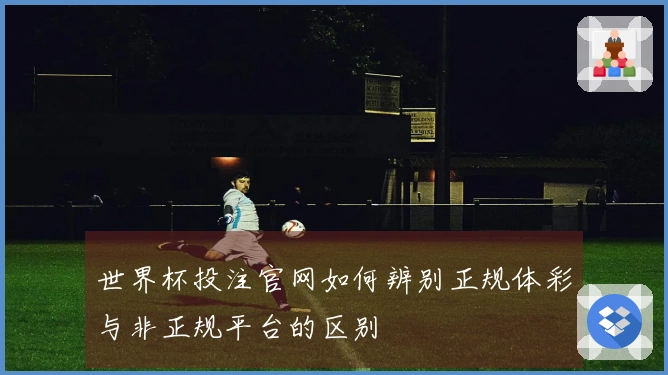 世界杯投注官网如何辨别正规体彩与非正规平台的区别