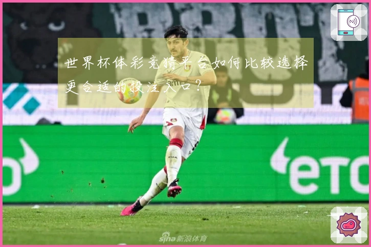 世界杯体彩竞猜平台如何比较选择更合适的投注入口？
