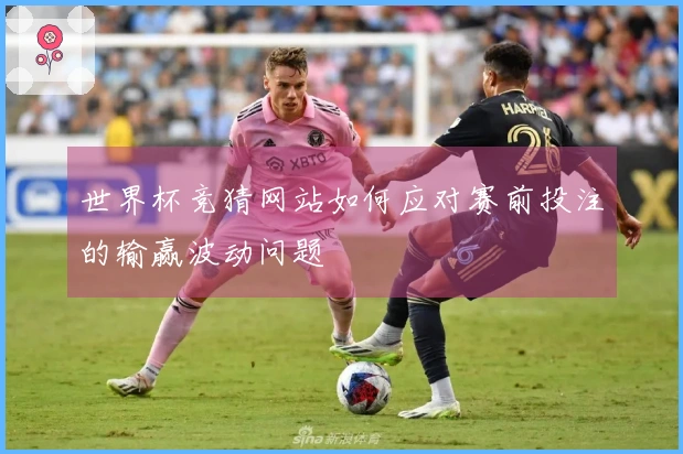 世界杯竞猜网站如何应对赛前投注的输赢波动问题