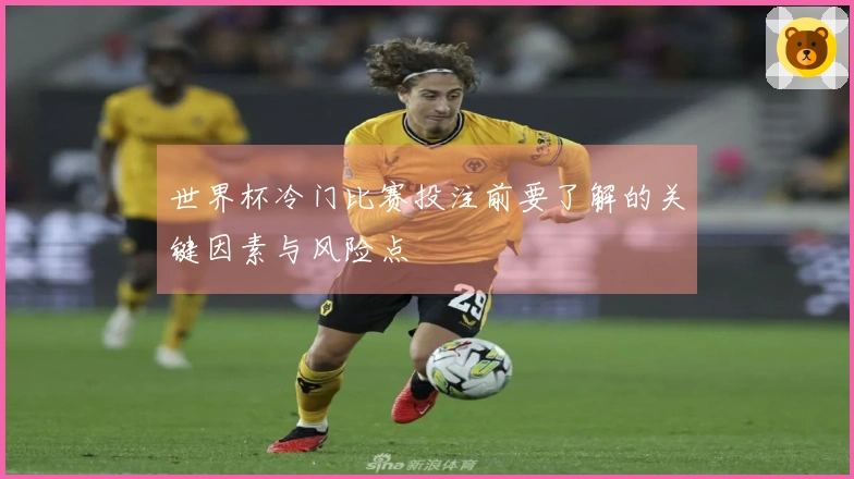 世界杯冷门比赛投注前要了解的关键因素与风险点