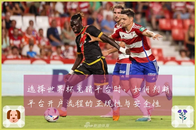 选择世界杯竞猜平台时，如何判断平台开户流程的正规性与安全性