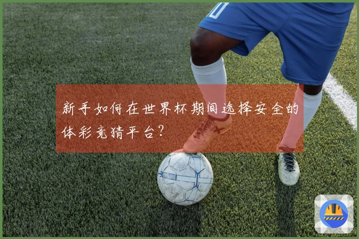 新手如何在世界杯期间选择安全的体彩竞猜平台？