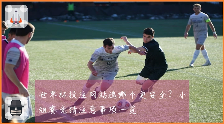 世界杯投注网站选哪个更安全？小组赛竞猜注意事项一览