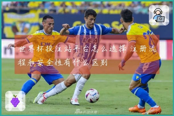 世界杯投注站平台怎么选择 注册流程和安全性有什么区别