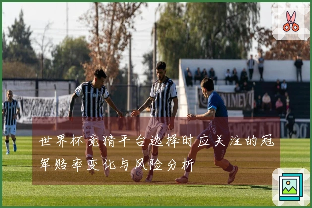 世界杯竞猜平台选择时应关注的冠军赔率变化与风险分析