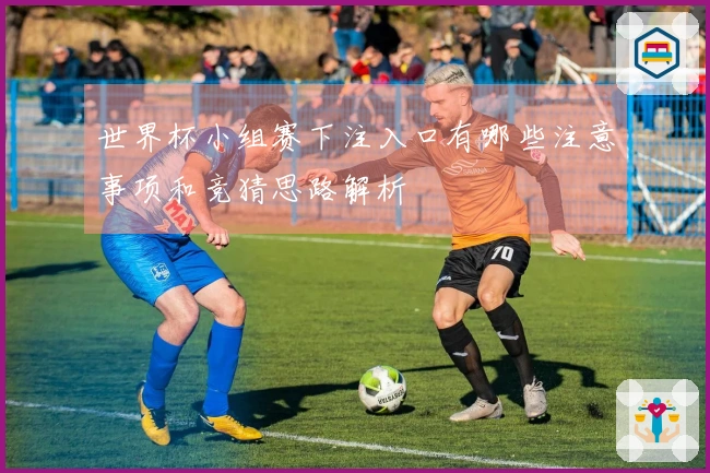 世界杯小组赛下注入口有哪些注意事项和竞猜思路解析