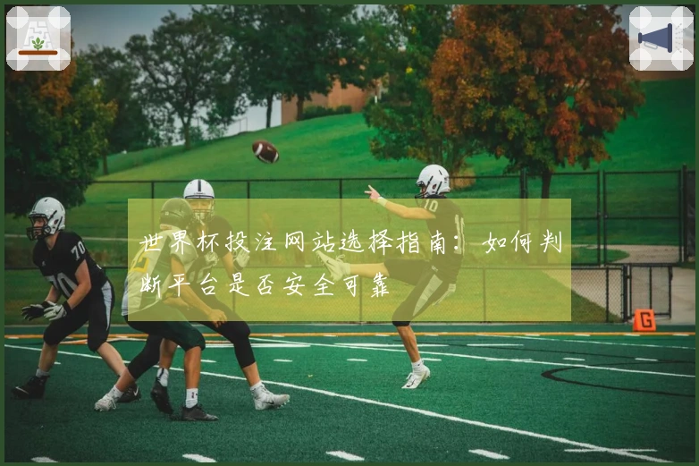 世界杯投注网站选择指南：如何判断平台是否安全可靠