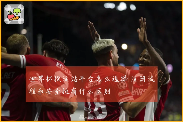 世界杯投注站平台怎么选择 注册流程和安全性有什么区别