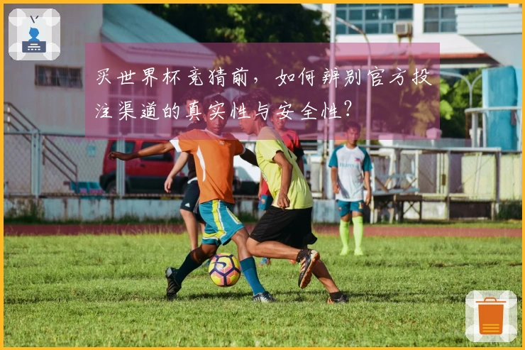 买世界杯竞猜前，如何辨别官方投注渠道的真实性与安全性？
