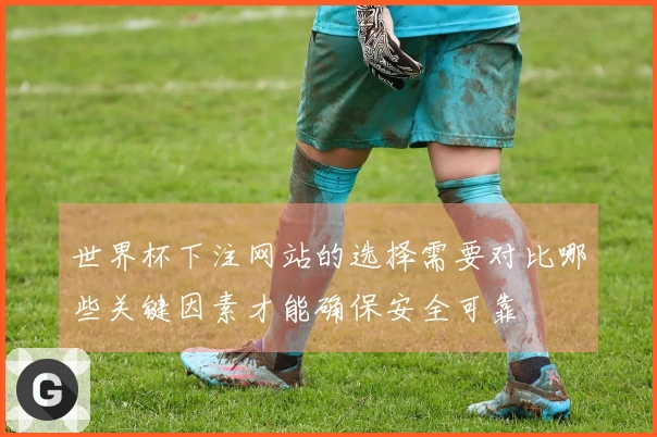 世界杯下注网站的选择需要对比哪些关键因素才能确保安全可靠